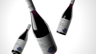 藍莓酒包裝設(shè)計